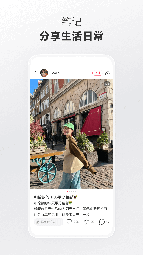 考拉啃桉叶看机械蝶群舞壁纸
